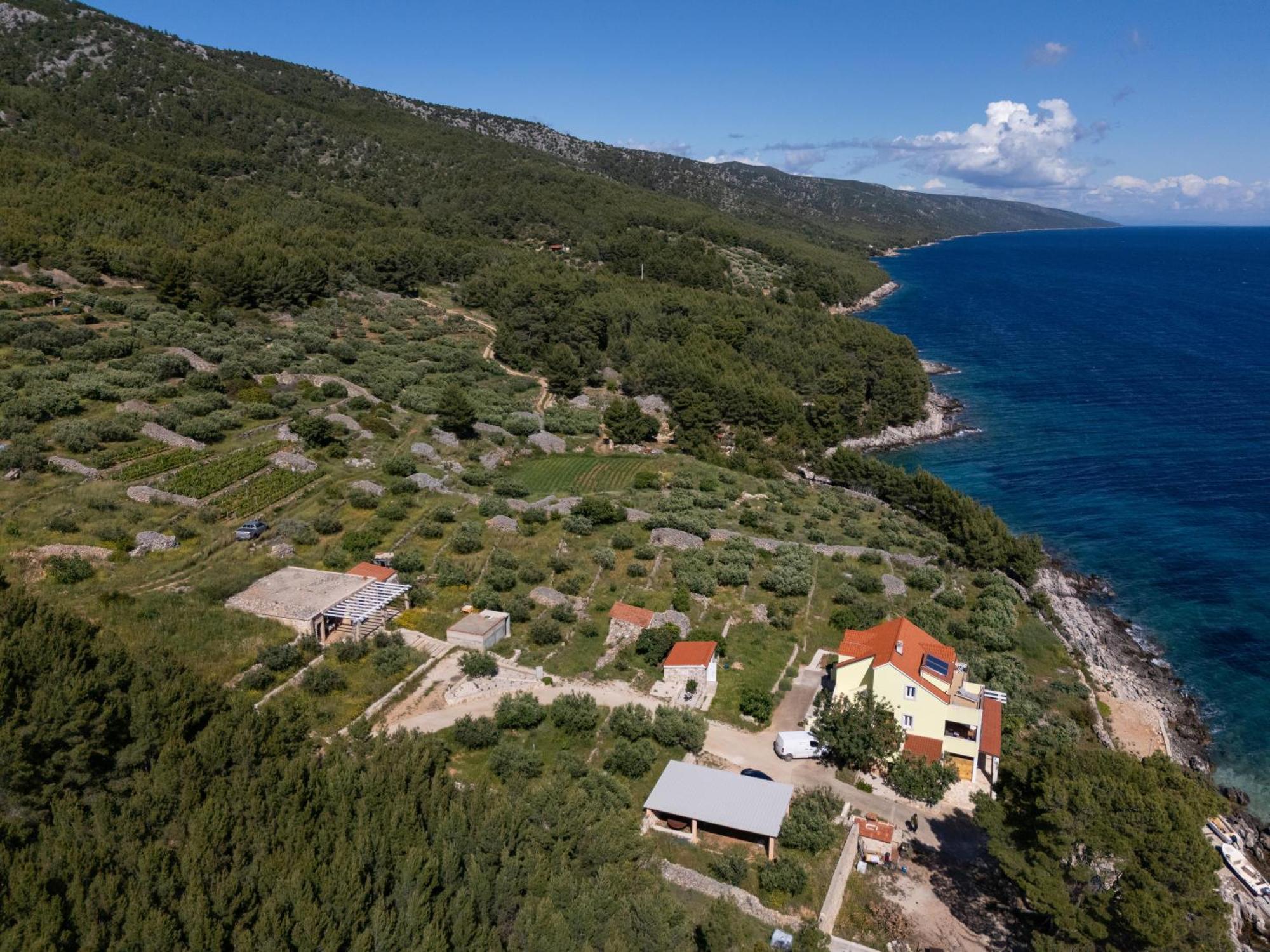 Villa Marin - 4 Apartments Zavala Buitenkant foto